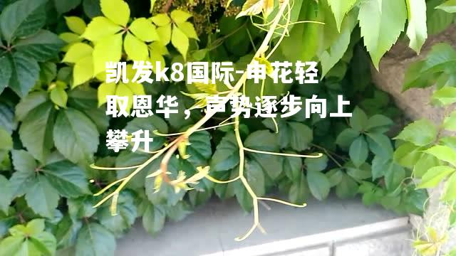 申花轻取恩华，声势逐步向上攀升